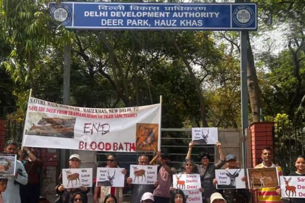 दिल्ली: हौज खास डियर पार्क के हिरणों पर 'डेथ वारंट'? ट्रांसलोकेशन के बाद 261 में से सिर्फ 17 जीवित, उठे गंभीर सवाल