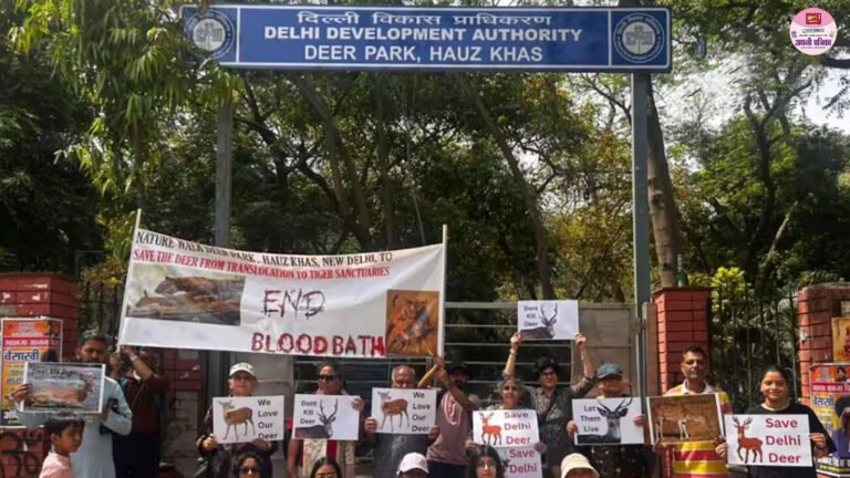 दिल्ली: हौज खास डियर पार्क के हिरणों पर 'डेथ वारंट'? ट्रांसलोकेशन के बाद 261 में से सिर्फ 17 जीवित, उठे गंभीर सवाल